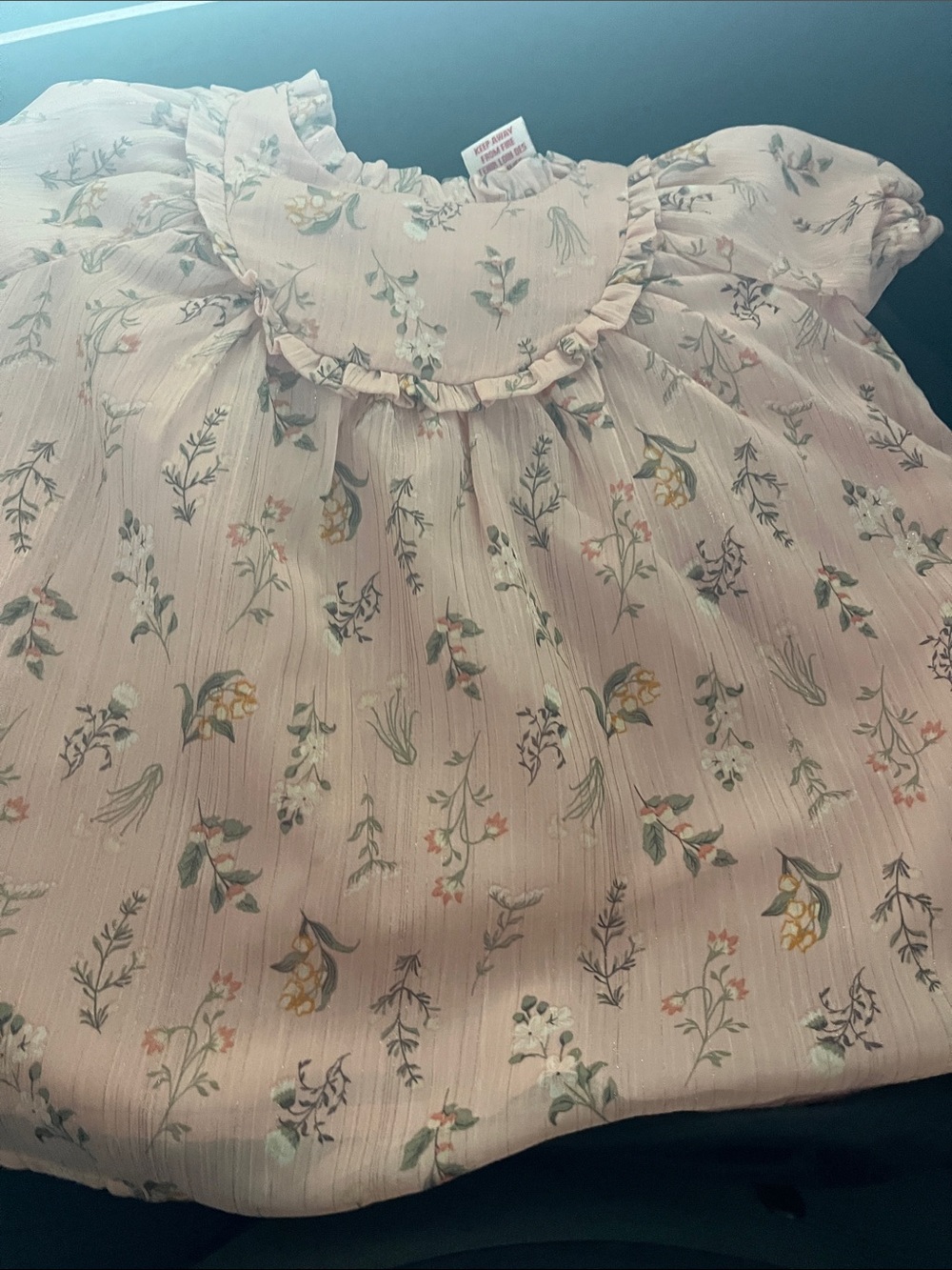 Catherine Malandrino Girls 3T Blush Pink Floral Ruffle Dress Shimmer